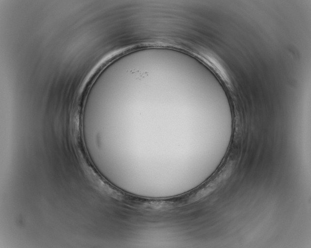 X0000113601000200909181105