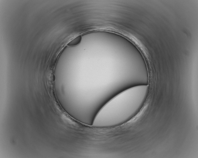 X0000113601001200909181105
