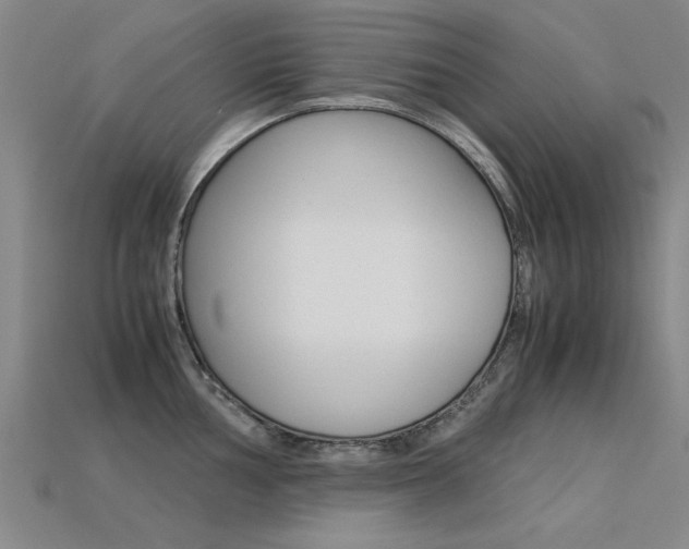 X0000113601002200909181105