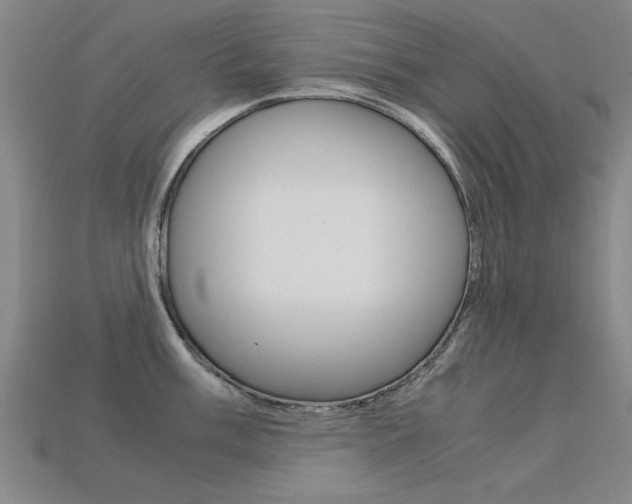 X0000113601003200909181105