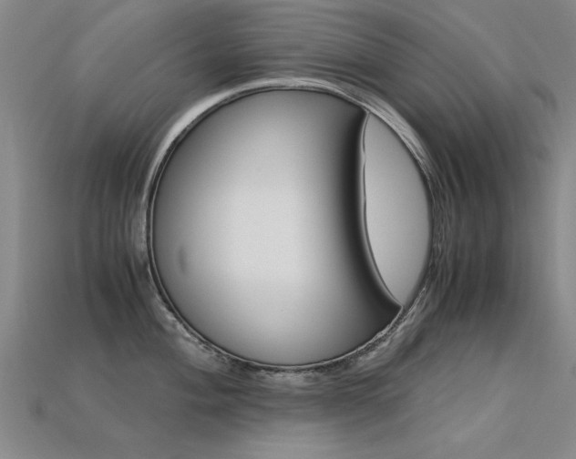 X0000113601004200909181105