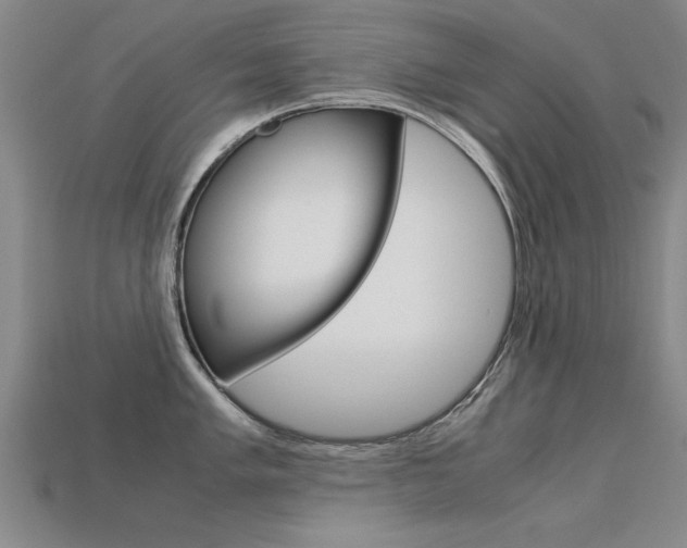 X0000113601005200909181105