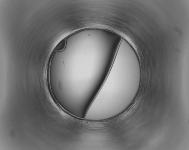 X0000113601007200909181105
