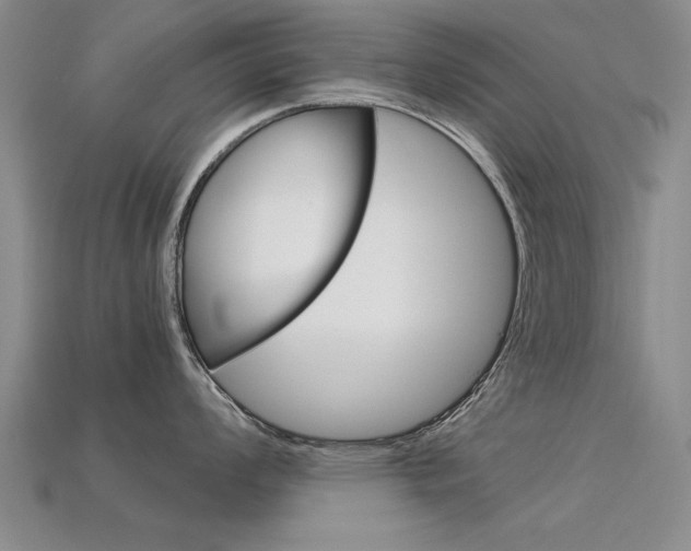 X0000113601008200909181105