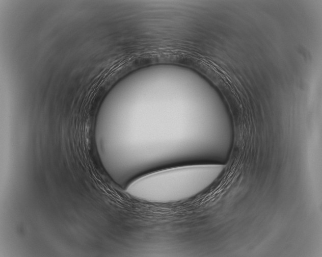 X0000113601010200909181104