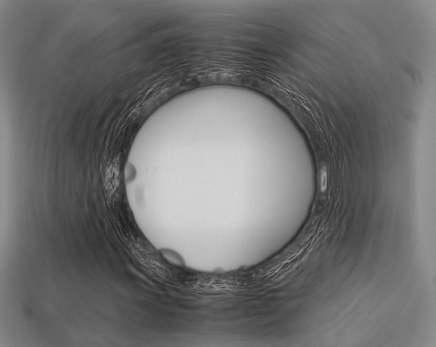 X0000113601011200909181104
