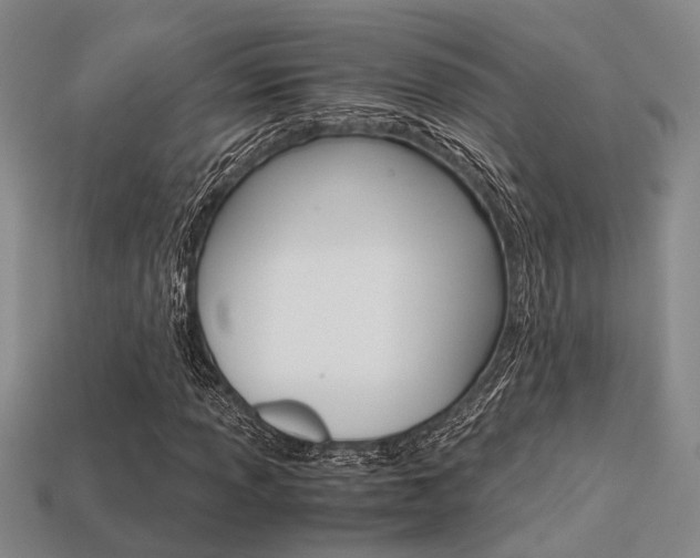 X0000113601013200909181104