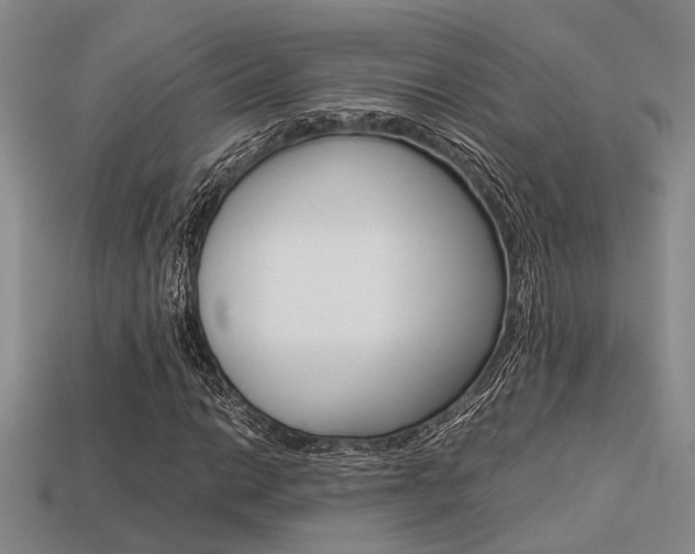 X0000113601014200909181104