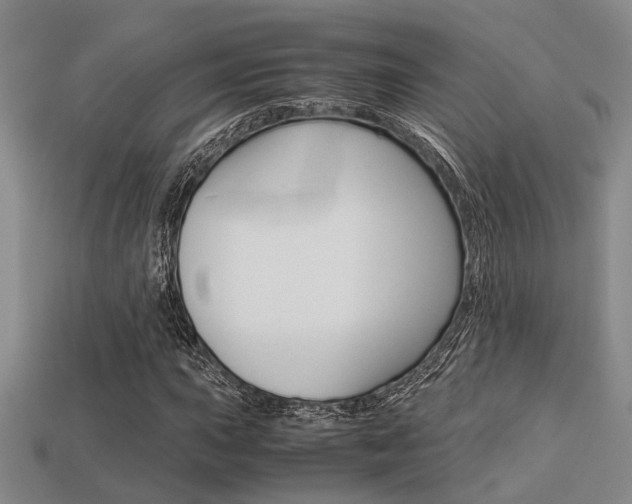 X0000113601015200909181104