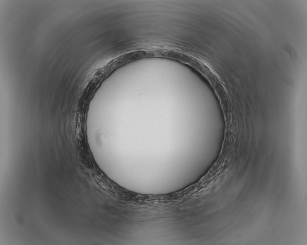 X0000113601016200909181104