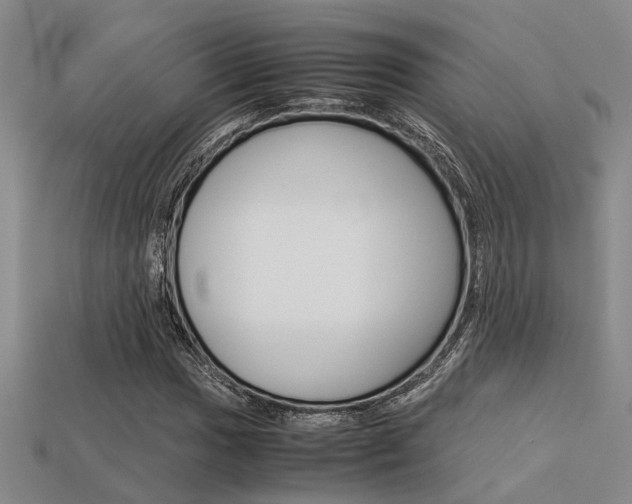 X0000113601017200909181104