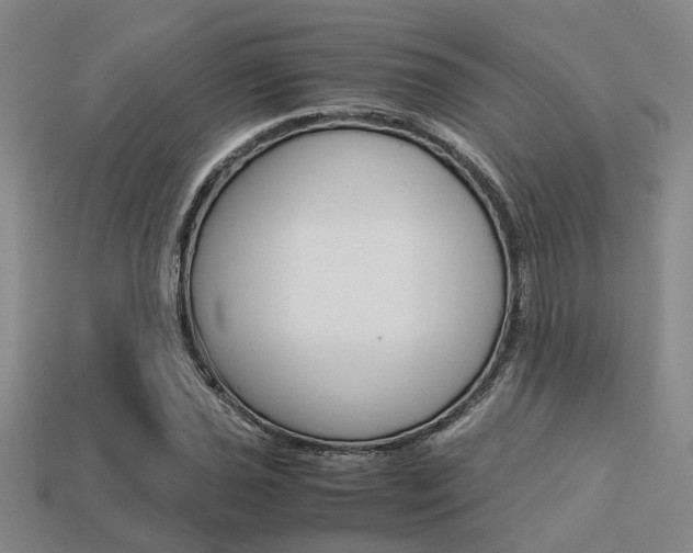 X0000113601021200909181104