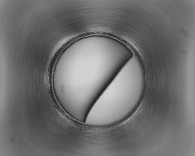 X0000113601022200909181104