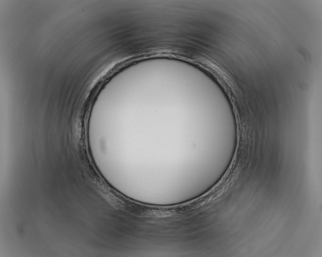 X0000113601023200909181104