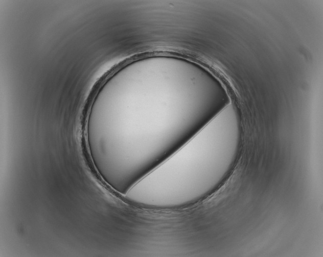 X0000113601024200909181104