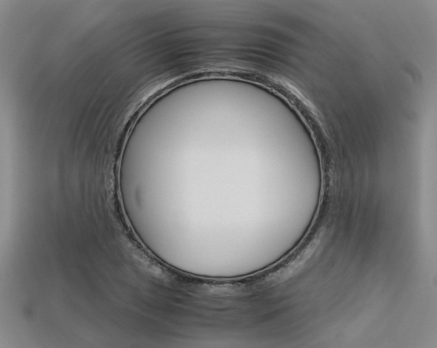 X0000113601025200909181104