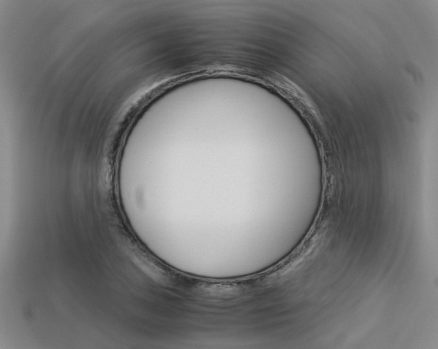 X0000113601027200909181104