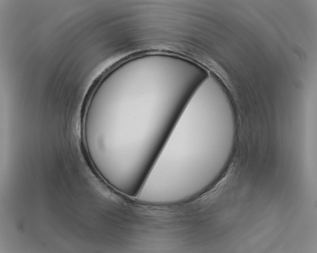 X0000113601028200909181104