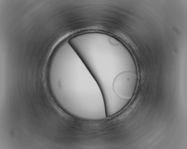 X0000113601029200909181104