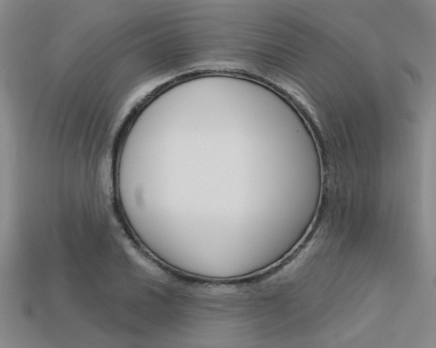 X0000113601030200909181104