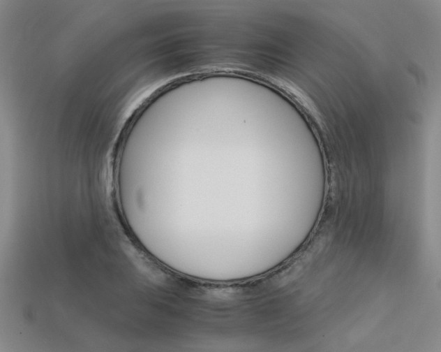 X0000113601031200909181104