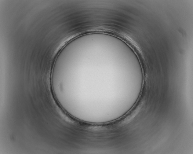 X0000113601033200909181104