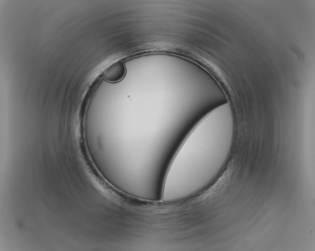 X0000113601034200909181104