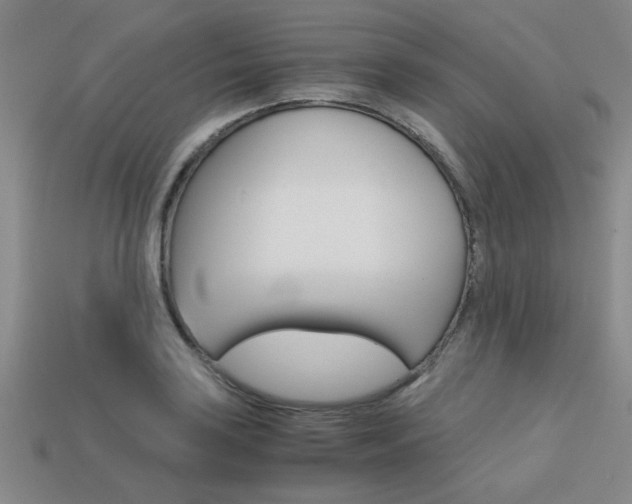 X0000113601035200909181104