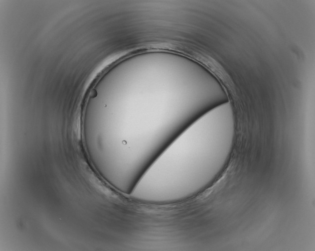X0000113601036200909181105