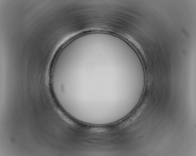 X0000113601037200909181105