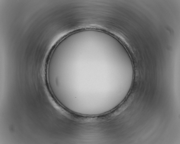 X0000113601038200909181105