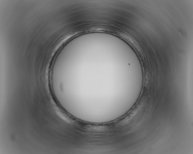 X0000113601039200909181105
