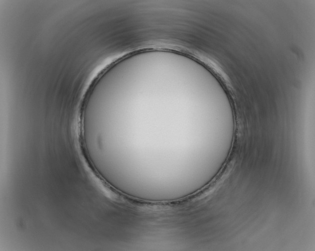 X0000113601040200909181105