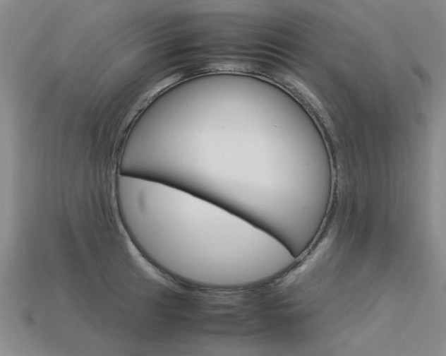 X0000113601041200909181105