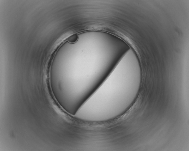 X0000113601042200909181105