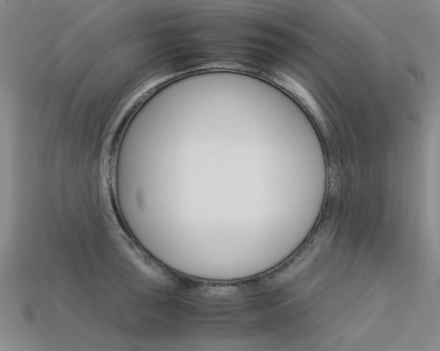 X0000113601043200909181105
