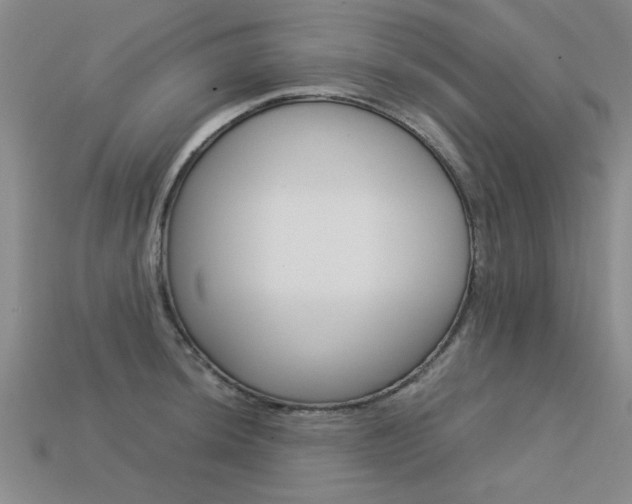 X0000113601044200909181105