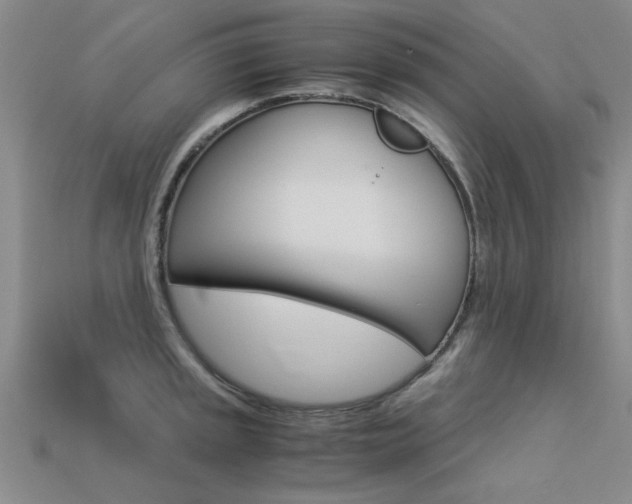 X0000113601045200909181105