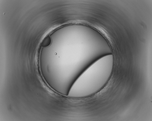 X0000113601046200909181105
