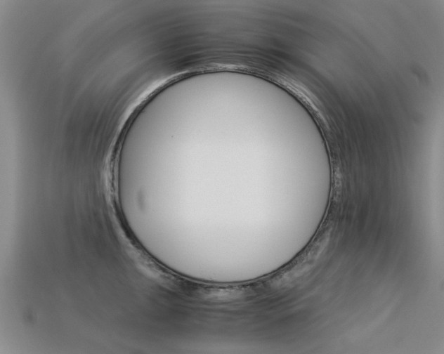 X0000113601047200909181105