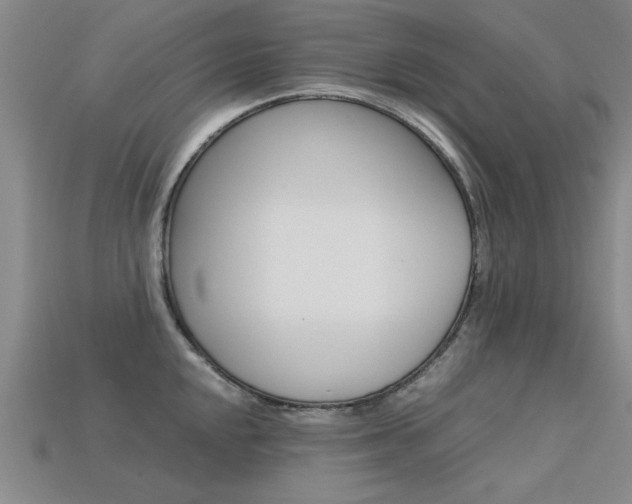 X0000113601048200909181105