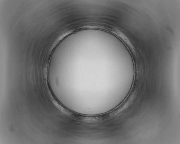 X0000113601049200909181105