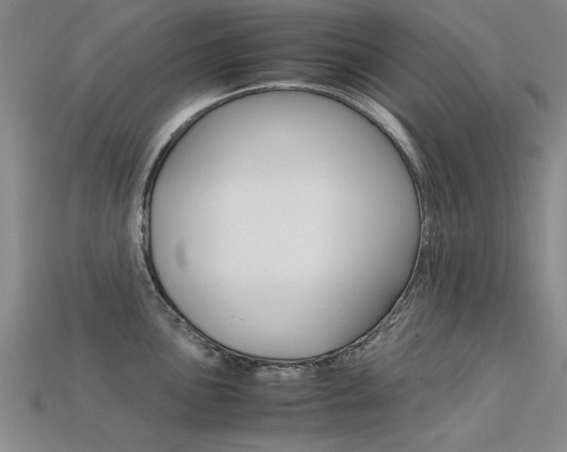 X0000113601051200909181105