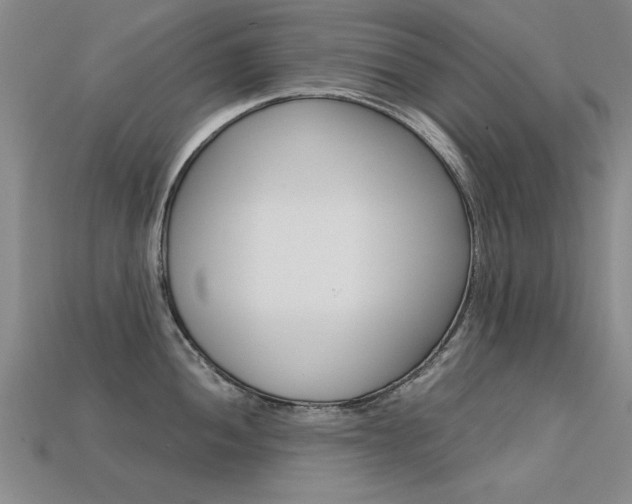 X0000113601052200909181105