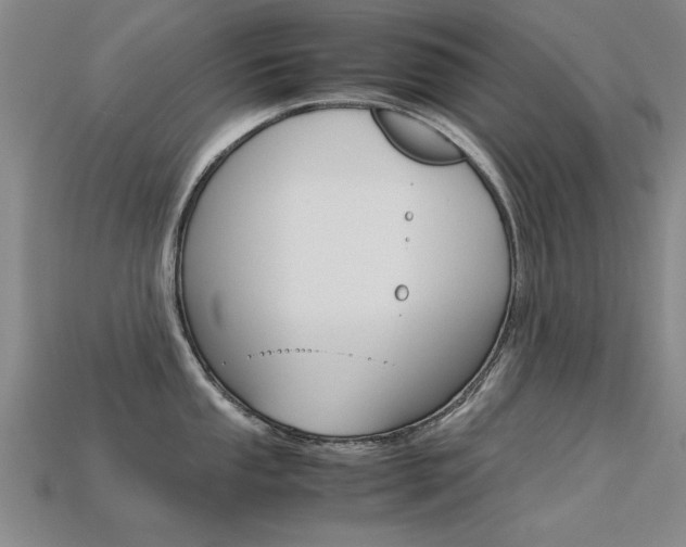 X0000113601053200909181105