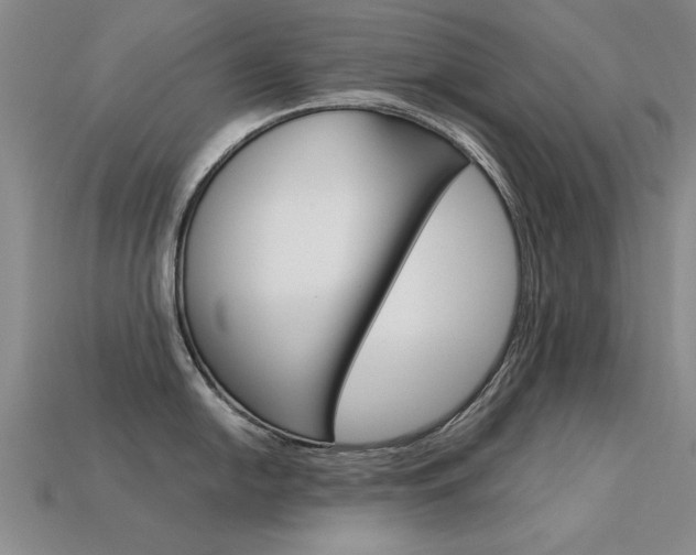 X0000113601054200909181105