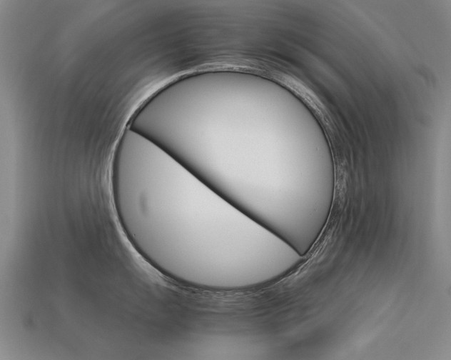 X0000113601055200909181105