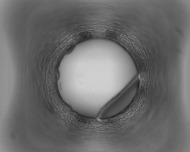 X0000113601057200909181104