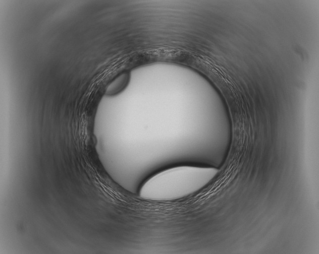 X0000113601058200909181104