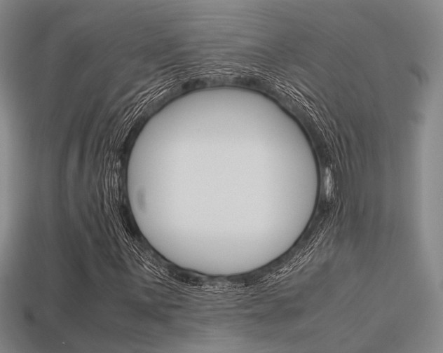 X0000113601059200909181104